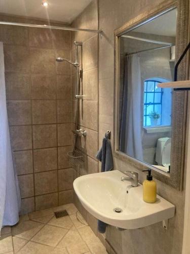 锡尔克堡Bøllingsø Feriehus的浴室配有盥洗盆和带镜子的淋浴
