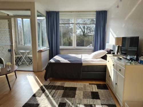 RødovreBayer Apartments Copenhagen的一间卧室配有一张床和一张书桌及电视