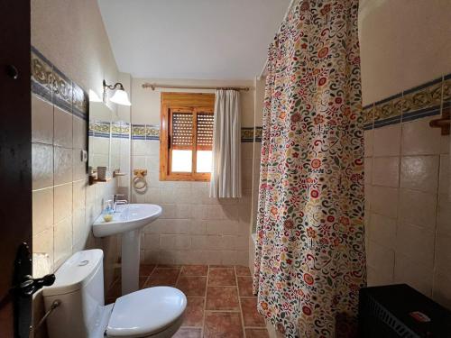 阿达莱斯Apartamentos Virgen de Villaverde的浴室设有卫生间、水槽和淋浴帘