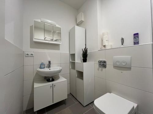 卡尔斯鲁厄Simplex Apartments Am Europaplatz的白色的浴室设有水槽和卫生间。