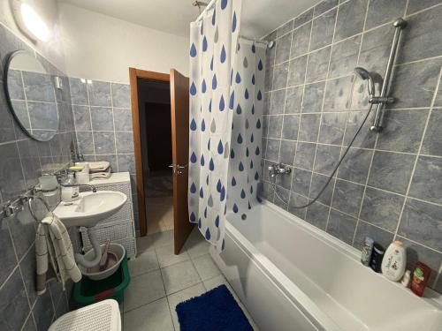 尼克希奇Apartman DBB Nikšić的一间带水槽、浴缸和卫生间的浴室
