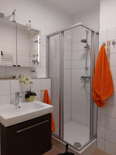 奥斯赛拜-塞林Ostseebad Sellin auf Rügen Apartment im Haus Baltic 1 OG的带淋浴、水槽和淋浴的浴室