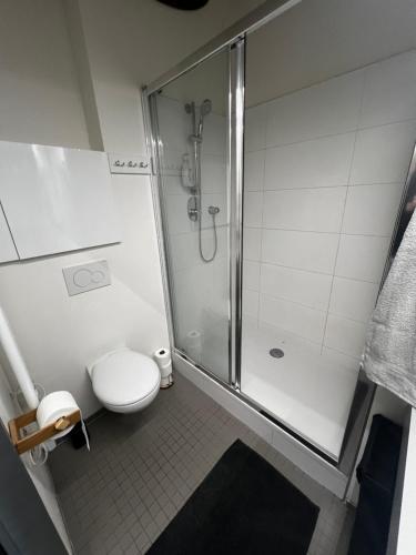 兹林1 bedroom loft apartment的带淋浴和卫生间的浴室