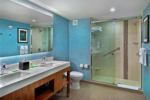 弗雷德里克斯堡弗雷德里克斯堡玛莉华盛顿凯悦酒店的带淋浴、盥洗盆和卫生间的浴室