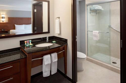 匹兹堡匹兹堡北海岸凯悦嘉轩酒店的一间带水槽、淋浴和卫生间的浴室