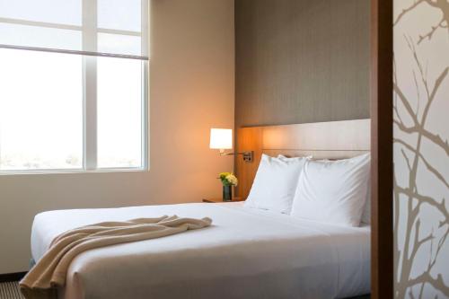 查尔斯顿查尔斯顿凯悦嘉轩酒店 - 历史区的卧室配有白色的床和窗户