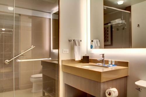 埃文斯顿芝加哥/埃文斯顿凯悦酒店的一间带水槽、淋浴和卫生间的浴室