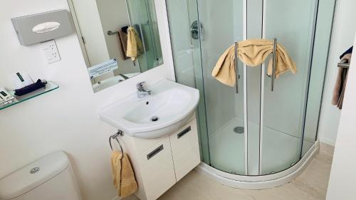 北帕默斯顿阿尔法汽车旅馆的一间带玻璃淋浴和水槽的浴室