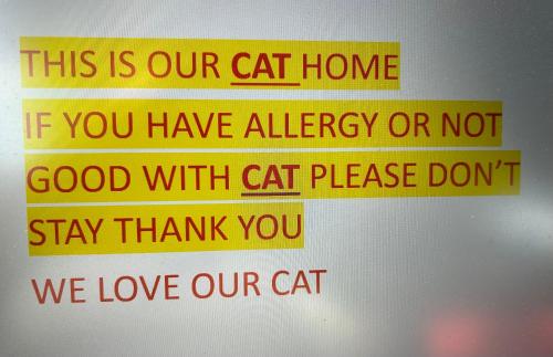 珍南海滩MIMPIMOON Bunk Beds & Home的表示这是我们家的猫,如果你过敏或不好