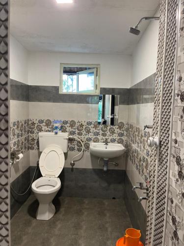 蒙纳Maliyeckal Homestay的一间带卫生间和水槽的浴室