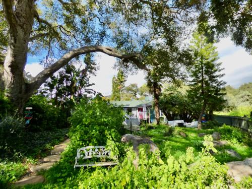 圣巴巴拉Bohemian Art & Garden Cottage Santa Barbara的院子里长着树木和草的长凳