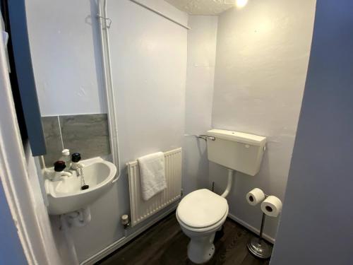Houghton RegisChelsea House-Huku Kwetu Dunstable-3 Bedroom House - Suitable & Affordable -Business Travellers - Group Accommodation - Comfy, Spacious with Lovely Garden Views的一间带卫生间和水槽的小浴室