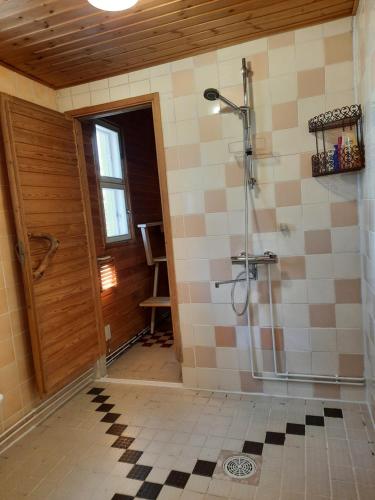 埃农泰基厄Holiday Home Samanitieva的带淋浴的浴室和玻璃门