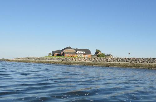 朗格内斯岛Ferienwohnung Uthlande的水体岸边的房子