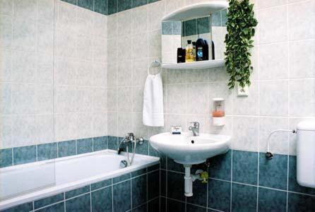 布拉格布拉格市佩西恩酒店的浴室配有盥洗盆和浴缸。