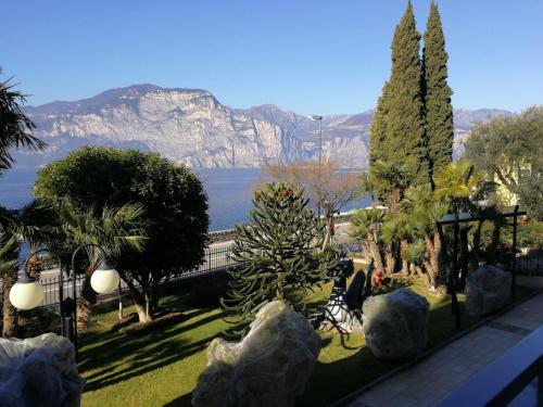 布雷佐内加尔达Hotel Drago - Garda Lake Collection的树木繁茂的花园享有山景。