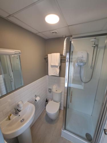 格洛斯特The Thatch Inn的带淋浴、卫生间和盥洗盆的浴室