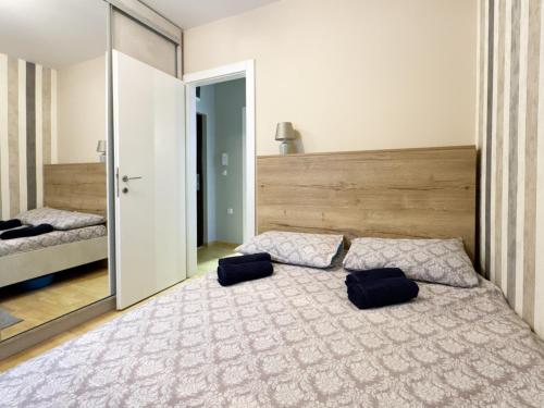 弗尔尼亚奇卡矿泉镇Apartman Galerija, Vrnjačka Banja的一间卧室配有一张带两个枕头的床