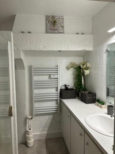 Pré-en-PailGite le Patis的白色的浴室设有水槽和镜子
