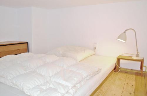 卡尔斯鲁厄Südstadtquartier的一间灯室里的一张白色床