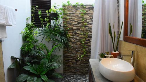 达瓦拉维Leel’s Safari Cottage的一间带水槽和一些植物的浴室