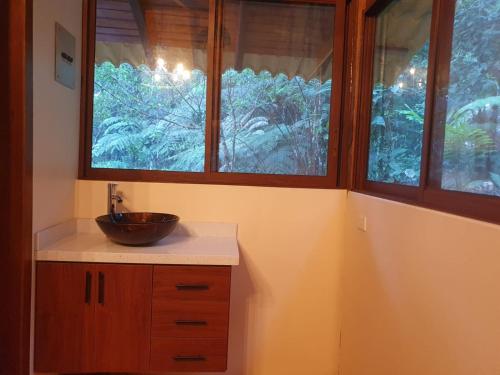 普约Finca Las Palmas Ecolodge的一间带水槽的浴室和两个窗户