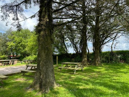 奥特尔楠Pitch 1 - Rising Sun Inn Campsite的一群野餐桌,在一片树木繁茂的田野上