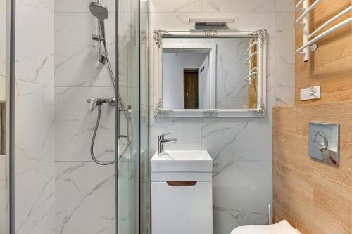 格但斯克Grobla Centrum 3 by Grand Apartments的带淋浴、盥洗盆和镜子的浴室