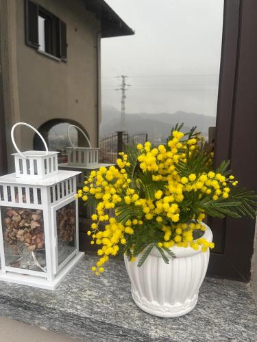 德罗内罗Tenuta Rella的阳台上的白色花瓶装满黄色的花朵