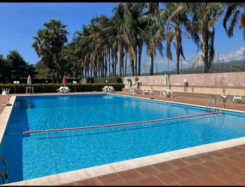 马斯卡利Focu e Mari的一个种有棕榈树的大型蓝色游泳池