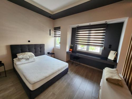雅典Luxury Apartment Acropolis Syggrou的一间卧室设有一张大床和一个窗户。