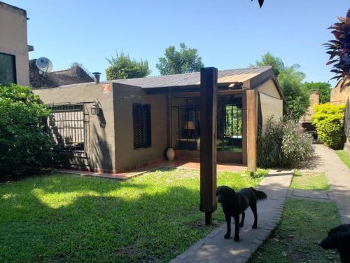 耶尔瓦布埃纳Casa BAUM的一只狗站在一个小房子前面