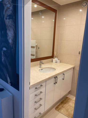 日内瓦Perle rare nations的一间带水槽和镜子的浴室