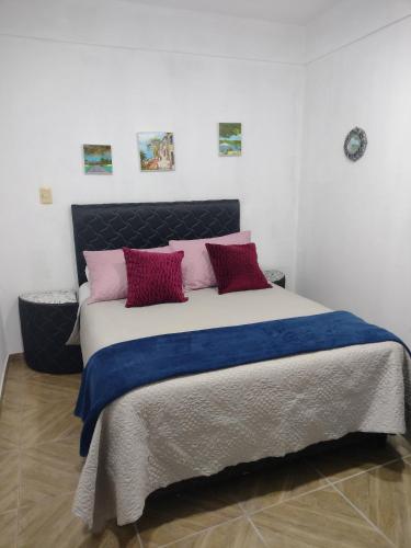 埃斯特城LVL Hospedaje Ejecutivo的卧室配有一张带红色和粉红色枕头的大床