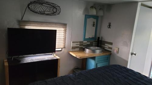 北迈尔斯堡Shroom life farm Chicken shack的一间卧室配有一张床和一台电视。