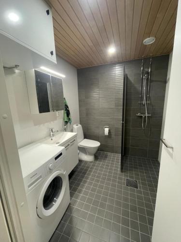 肯佩莱Kempele city center 2的浴室配有卫生间水槽和洗衣机。