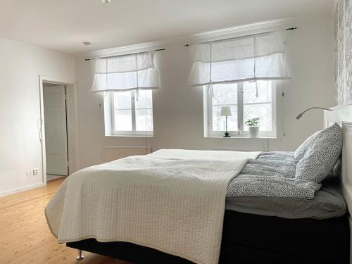 TimråTimrå Farmhouse的一间卧室设有一张大床和两个窗户