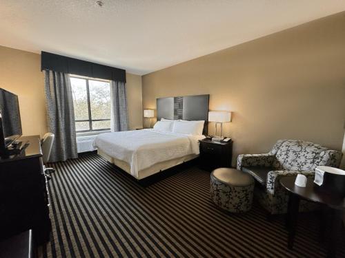 圣安东尼奥圣安东尼奥北石橡树区假日酒店&度假村的配有一张床和一把椅子的酒店客房