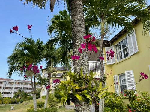 Jamaica Time Driftwood at Sea Palms 3BR 3BA Condo in Ocho Rios with Pool and Beach Front with Views ONLY 10 Mins from Ochi Intl Airport Direct flight from Miami平面图