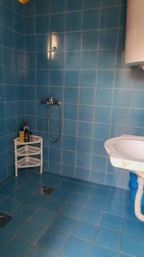 库马诺沃Sonja's House of Sun, Bislim Gorge, Riverview & yard的蓝色瓷砖浴室配有淋浴和盥洗盆