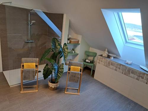 Apartment Martin的带淋浴、植物和椅子的浴室