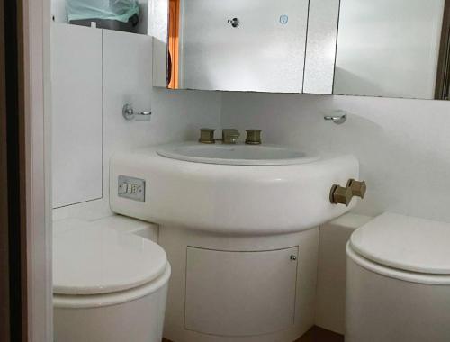 热那亚BB Boat Lady A的白色的浴室设有水槽和卫生间。