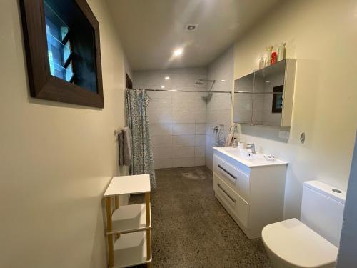 拉罗汤加TE PUKA ESTATE Group & Function Venue的一间带水槽、卫生间和淋浴的浴室