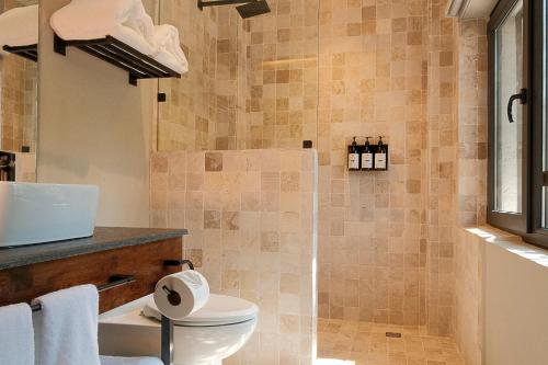 墨西哥城Casa Serenos的一间带卫生间和淋浴的浴室