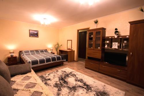 阿拉木图Nadezhda Apartments at Kabanbay Batyr 79的一间卧室配有一张床、一台电视和一张沙发