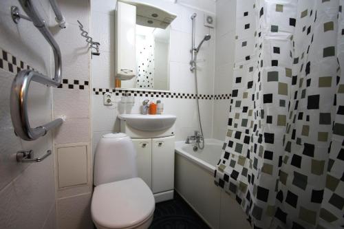 阿拉木图Nadezhda Apartments at Kabanbay Batyr 79的一间带卫生间和水槽的小浴室