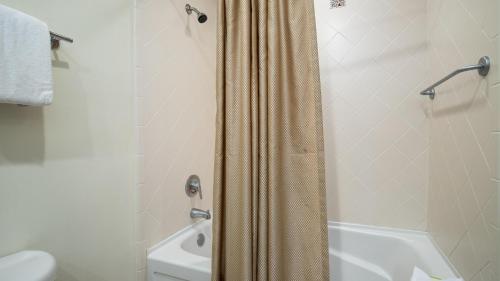 德斯坦Luau I 6406 Studio的浴室设有淋浴帘,位于厕所旁