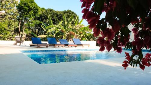 圣卡塔利娜岛Hotel Sol y Mar的一组椅子坐在游泳池旁