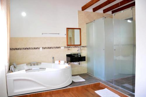 萨奇卡Hotel Gran Sirius的带浴缸和玻璃淋浴间的浴室。