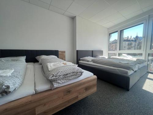 弗莱堡Simplex Apartments Am Schwabentorring的带大窗户的客房内的两张床